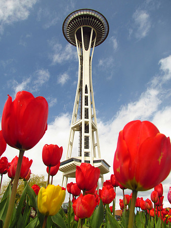Seattle Needle