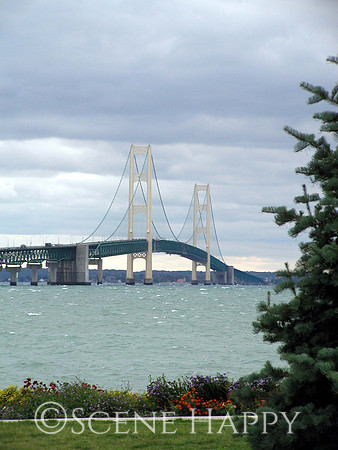 Mackinaw Bridge with Tree