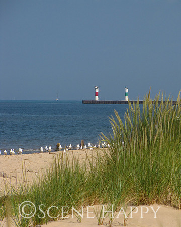 Saugatuck Beach