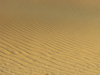 dubai desert safari