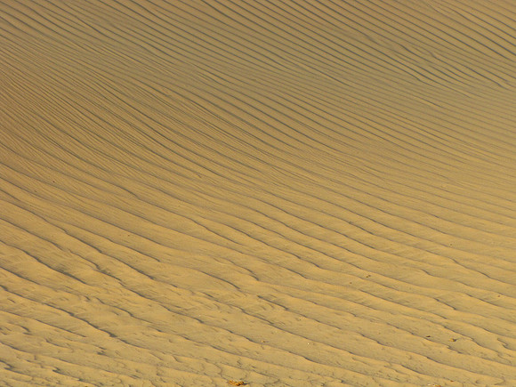 dubai desert safari