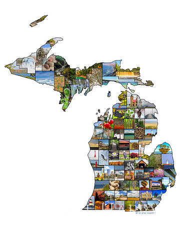 Michigan County Map