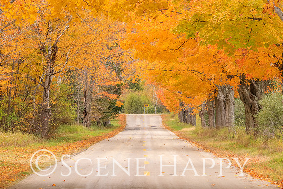 Sleeping Bear Dunes in Fall