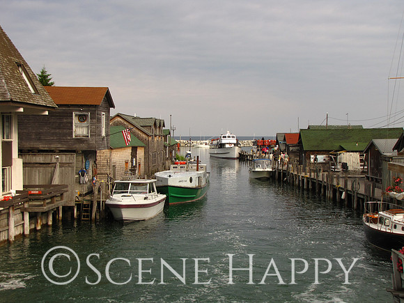 Fishtown Whole