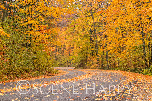 Leland in Fall