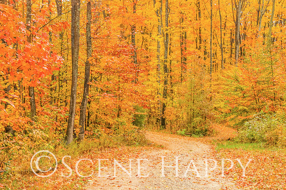 Leland Side Road in Fall