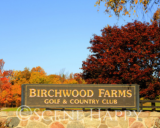 Harbor Springs Birchwood Farms