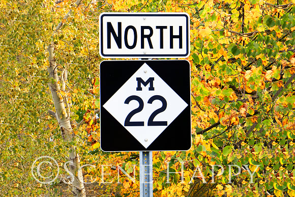 M22 North
