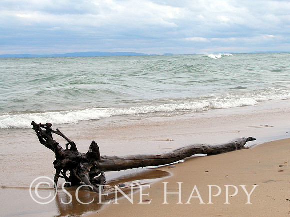 Lake Superior  Wood and Water