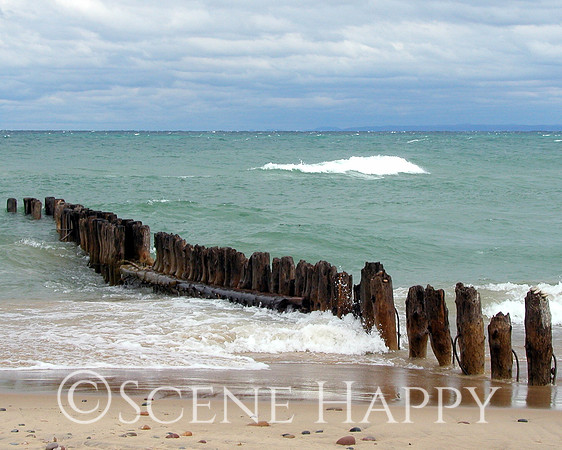 Lake Superior Wood In Water