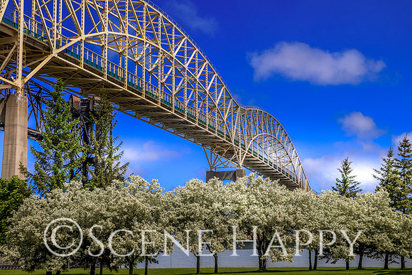 Sault Ste Marie Bridge Flowers