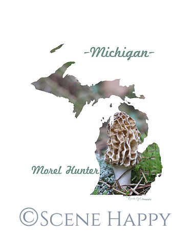 Michigan Morel Hunter
