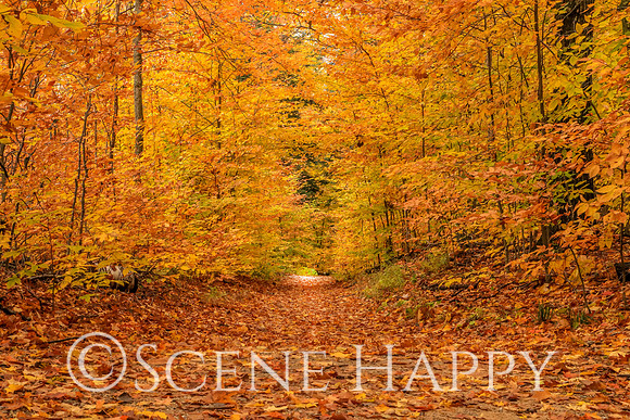 Hiking in Fall