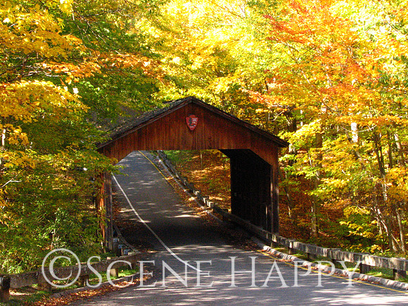 Sleeping Bear Dunes Bridge