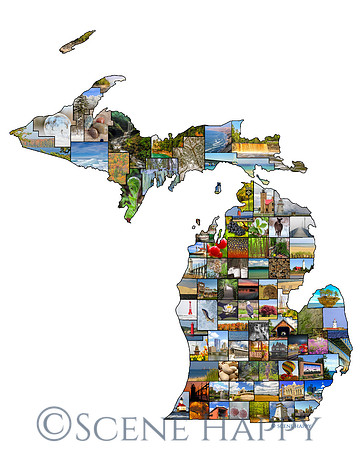 Michigan County Image