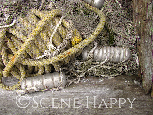 Fishnet and Rope