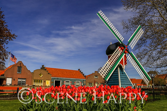 Holland Windmill