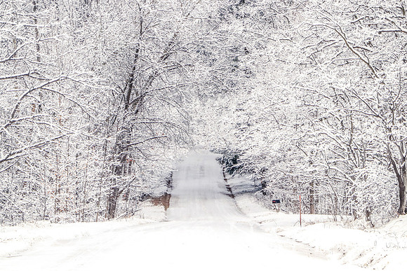 Winter Wonderland