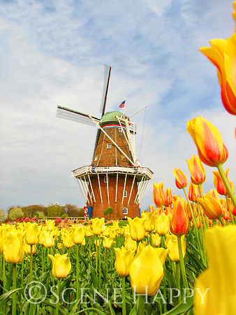 Holland Windmill
