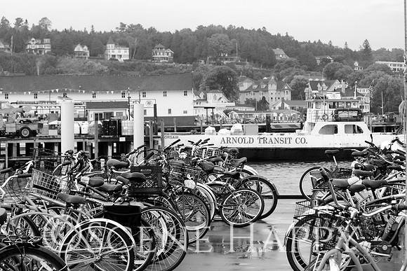 Mackinac Island Welcome
