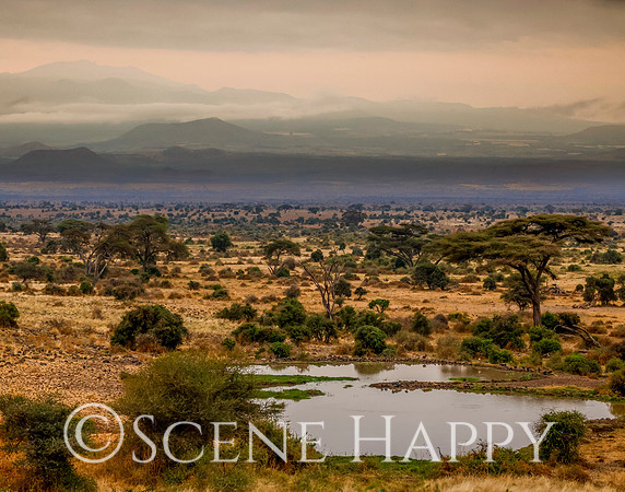 Amboseli_L2A4228