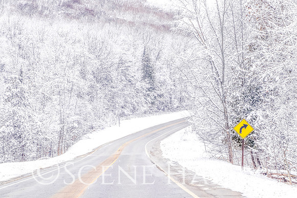 Torch Lake Area