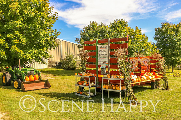 Pumpkin Farm