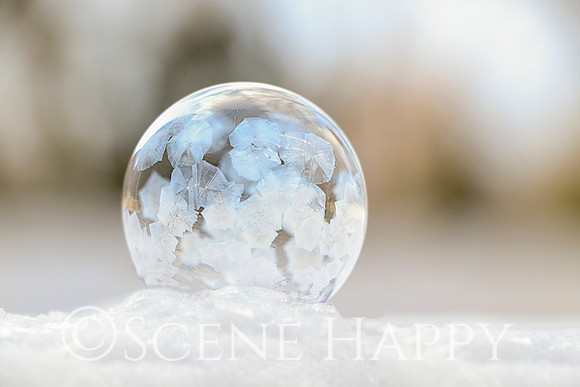 Frozen Bubble 2019