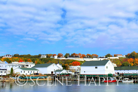 Mackinac Island Harbor View