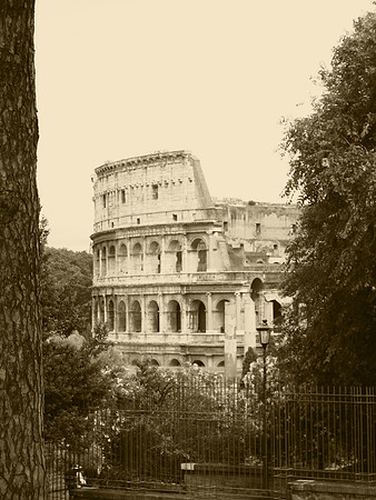 Coliseum Rome Sepia