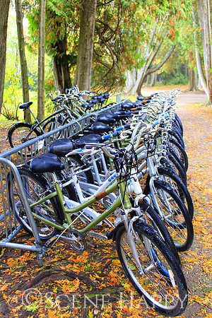 Mackinac Island Bikes