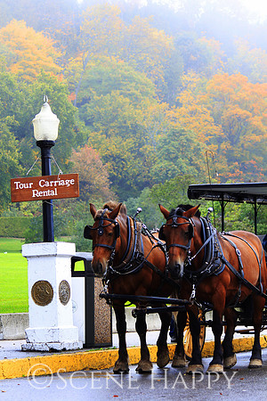 Mackinac Island Tour Carriage Rental