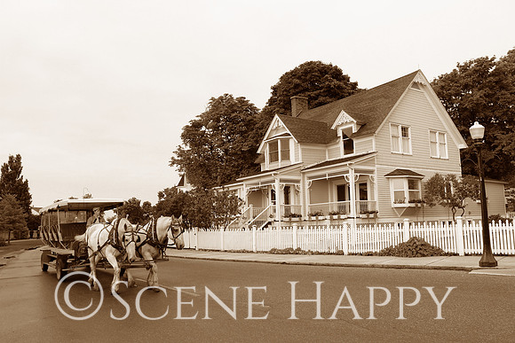 Mackinac Island Main Street Horse Ride