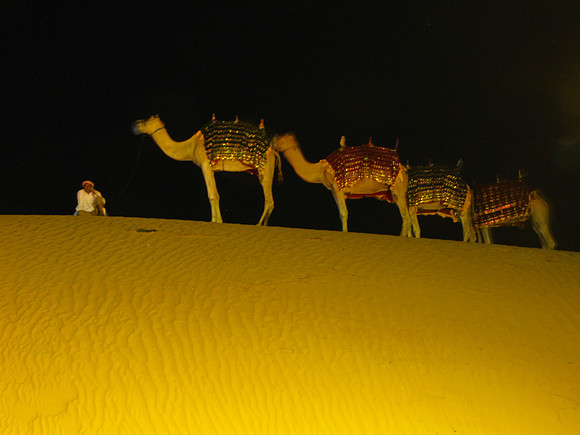 Four Camels