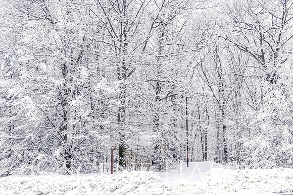 Rest Stop 75 Winter