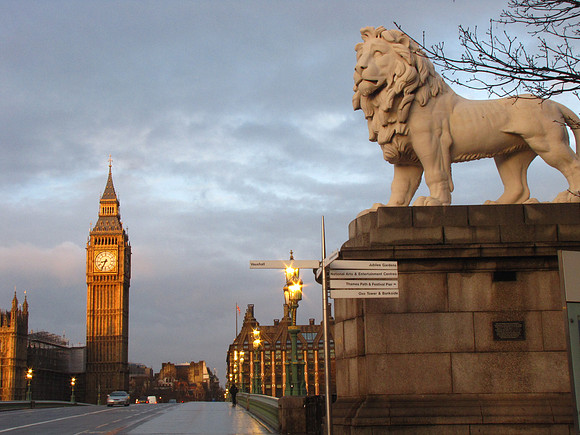 Lion